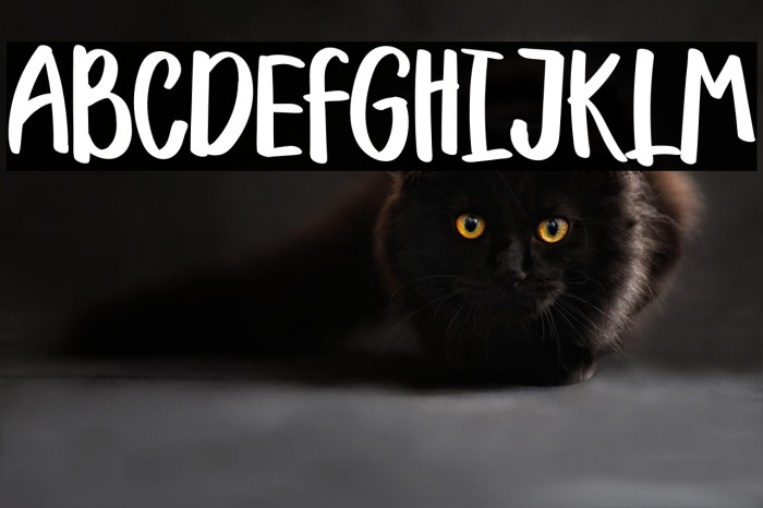 LUCYFARMRegular Example 1