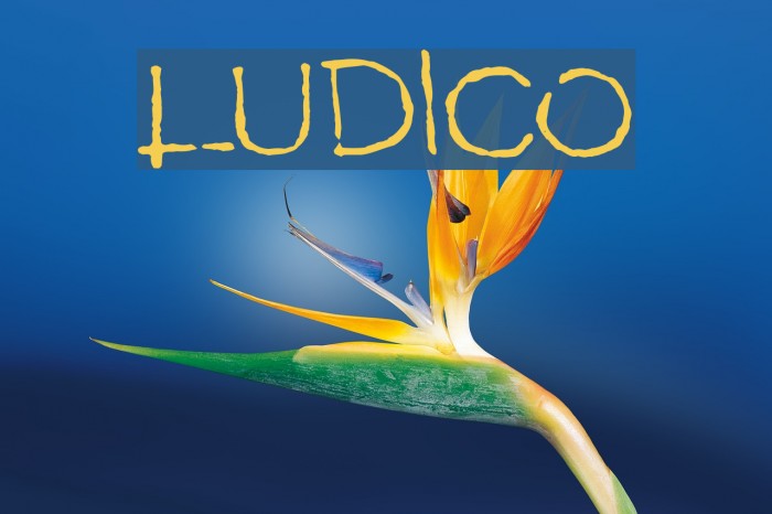 LUDICO Font examples