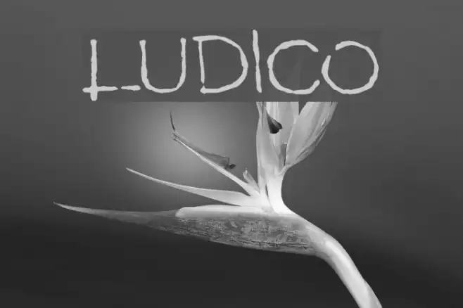 LUDICO Example 1