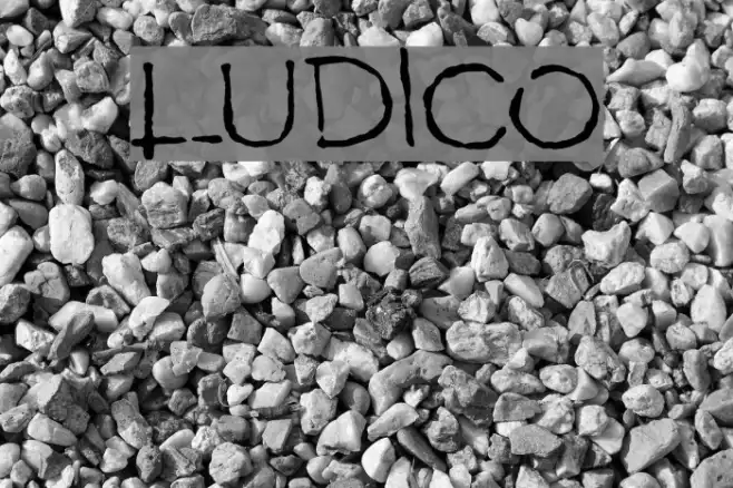 LUDICO Example 2
