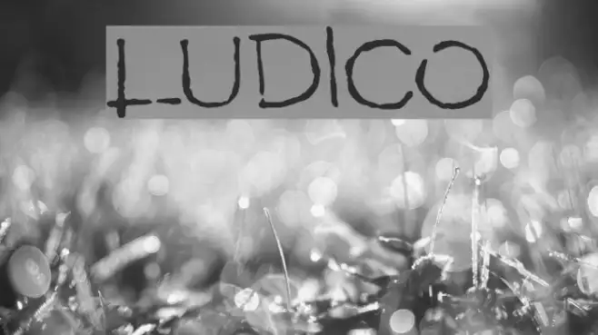 LUDICO Example 3