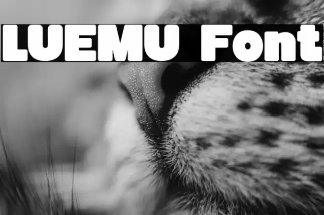 LUEMU Fuentes examples