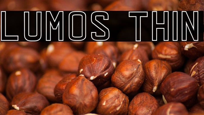 LUMOS THIN Example 1