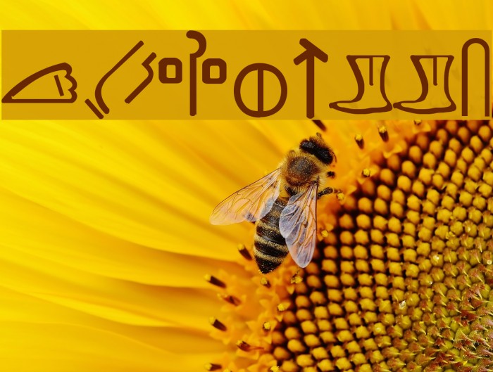 LUWHITTA Font examples