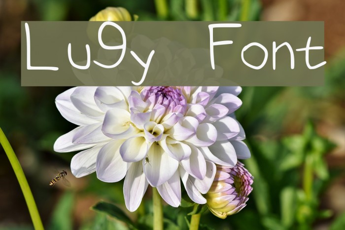 Lu9y Font examples