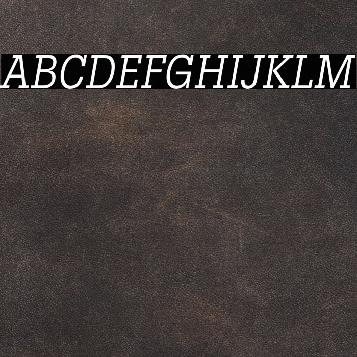 LubalinGraphStd-BookCondObl Font examples