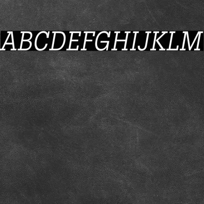 LubalinGraphStd-BookCondObl フォント examples