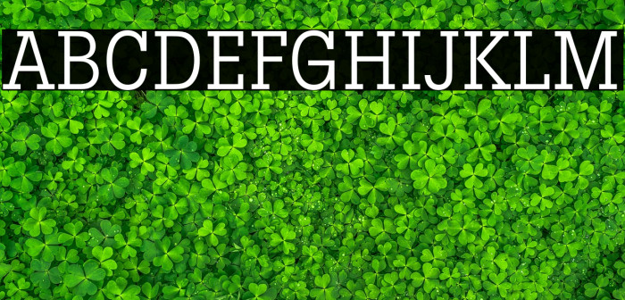 LubalinGraphStd-BookCond Font examples