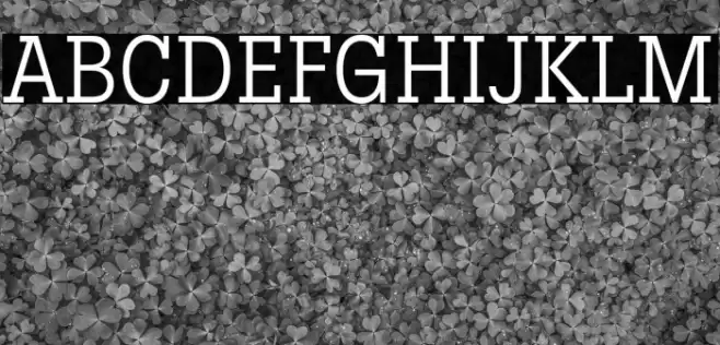 LubalinGraphStd-BookCond Font examples