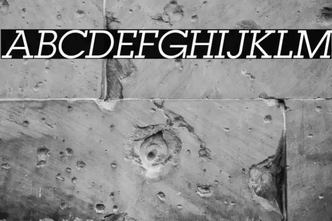 LubalinGraphStd-BookOblique Font examples