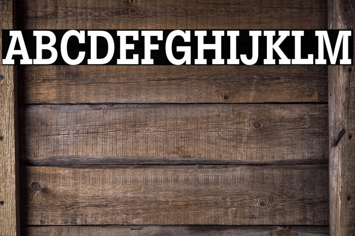 LubalinGraphStd-DemiBoldCond Font examples