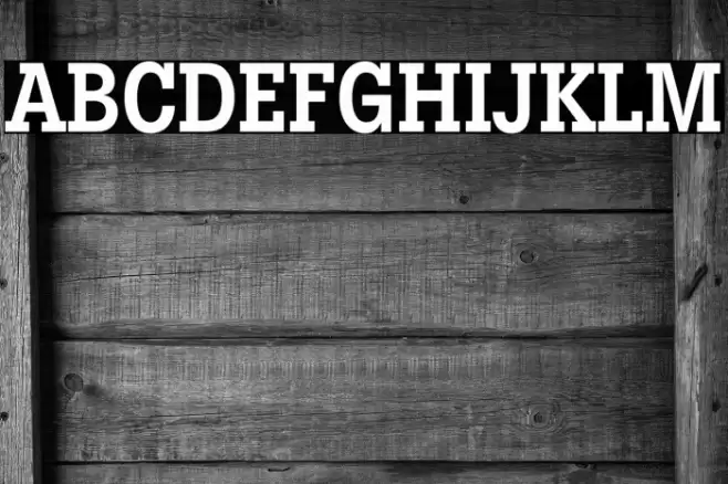 LubalinGraphStd-DemiBoldCond Font examples