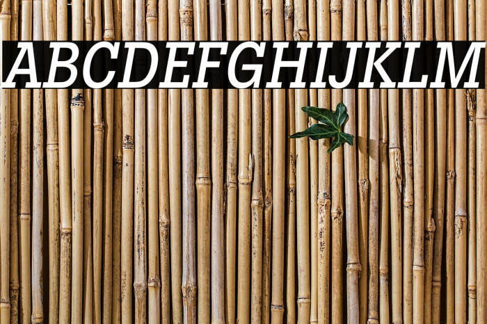 LubalinGraphStd-MediumCondObl フォント examples