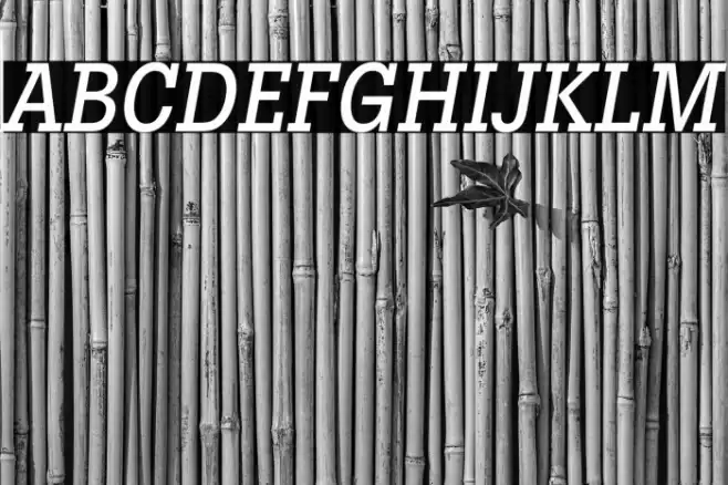LubalinGraphStd-MediumCondObl フォント examples