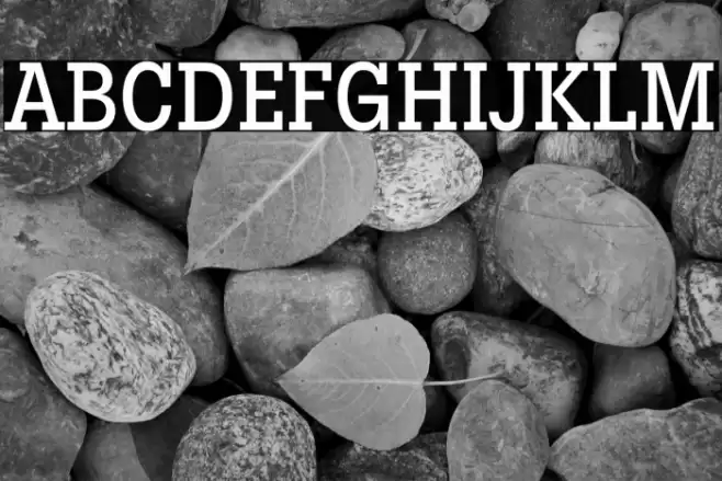 LubalinGraphStd-MediumCond フォント examples