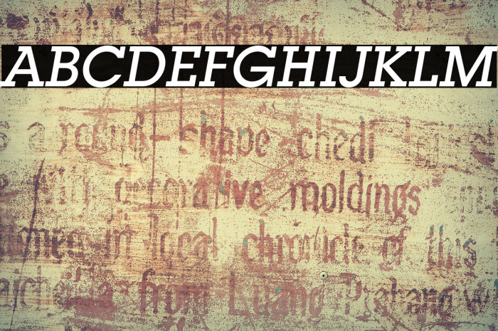 LubalinGraphStd-MediumOblique Font examples