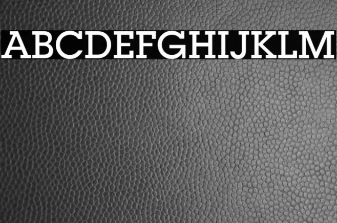 LubalinGraphStd-Medium フォント examples