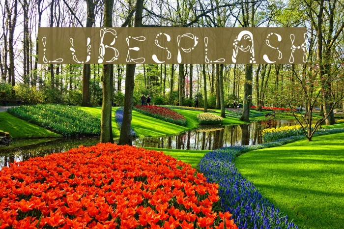 LubeSplash Font examples