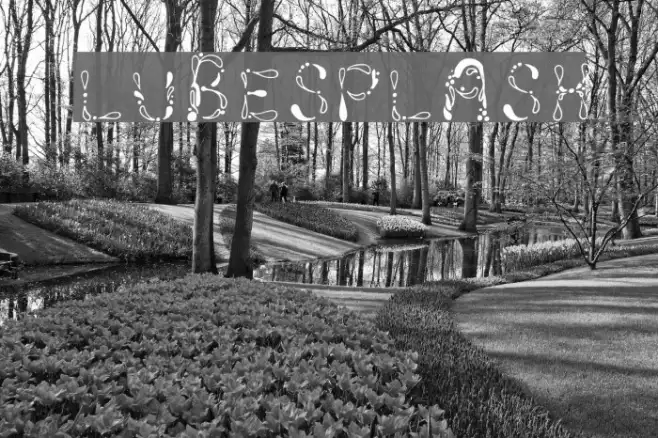 LubeSplash Example 2