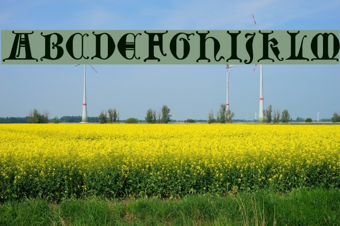 Lubeck Font examples