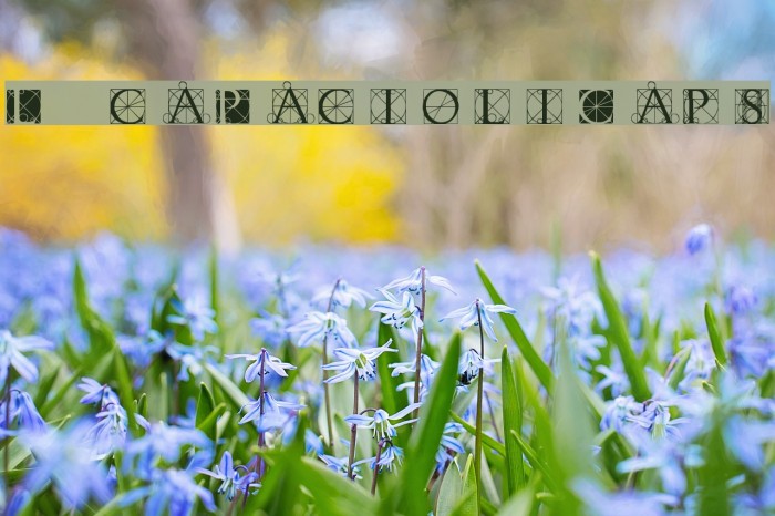 LucaPacioliCaps Font examples