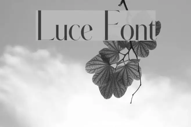 Luce Example 3