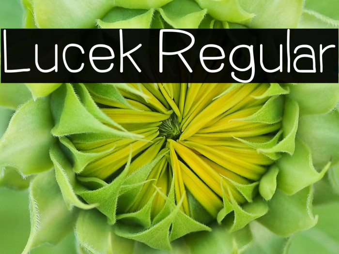 Lucek Regular Example 1