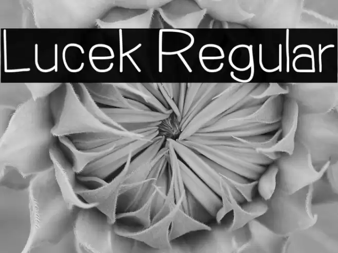 Lucek Regular Fonte examples