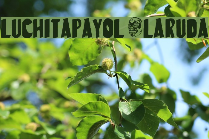 LuchitaPayol-LaRuda Font examples
