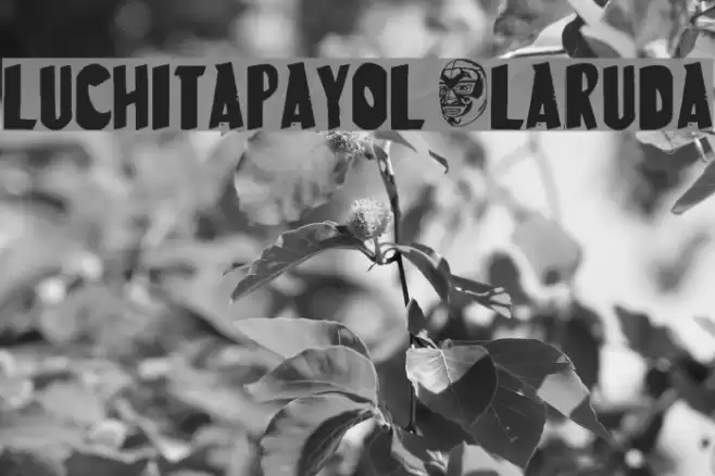 LuchitaPayol-LaRuda Шрифта examples