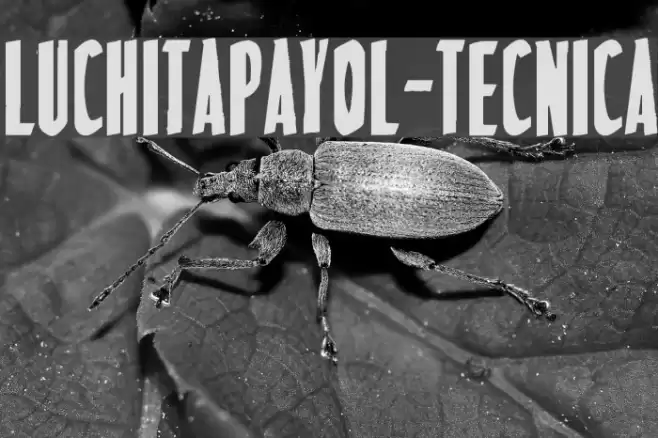 LuchitaPayol-Tecnica Шрифта examples