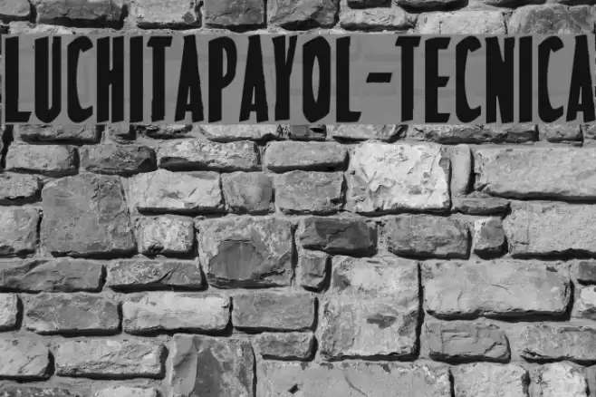 LuchitaPayol-Tecnica Шрифта examples