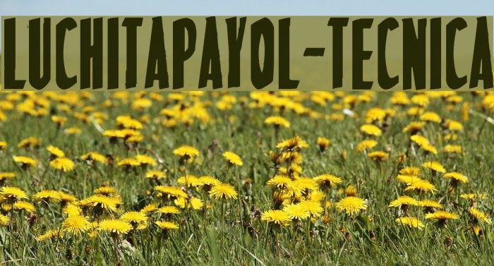 LuchitaPayol-Tecnica Font examples