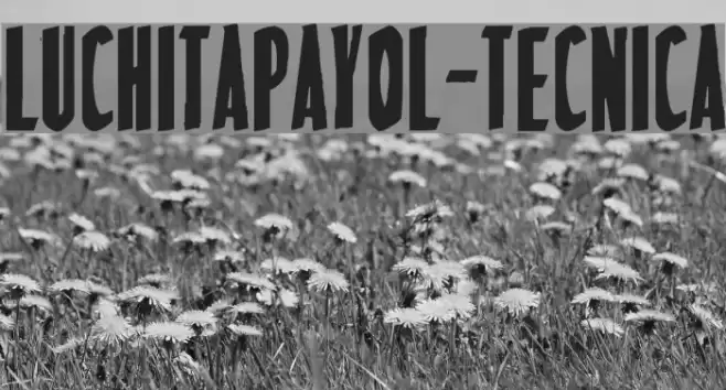 LuchitaPayol-Tecnica Шрифта examples