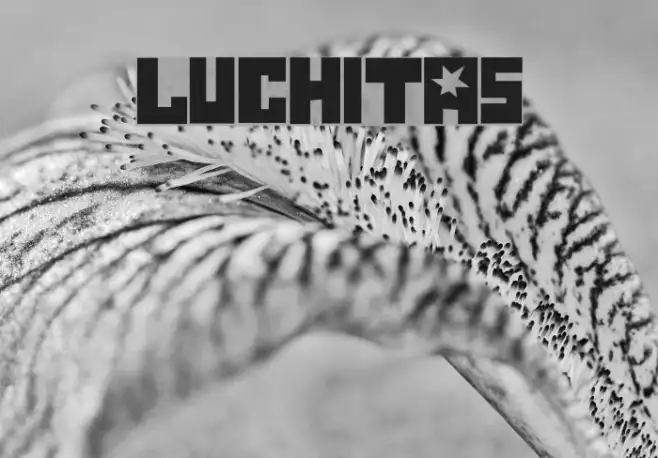 Luchitas Example 2