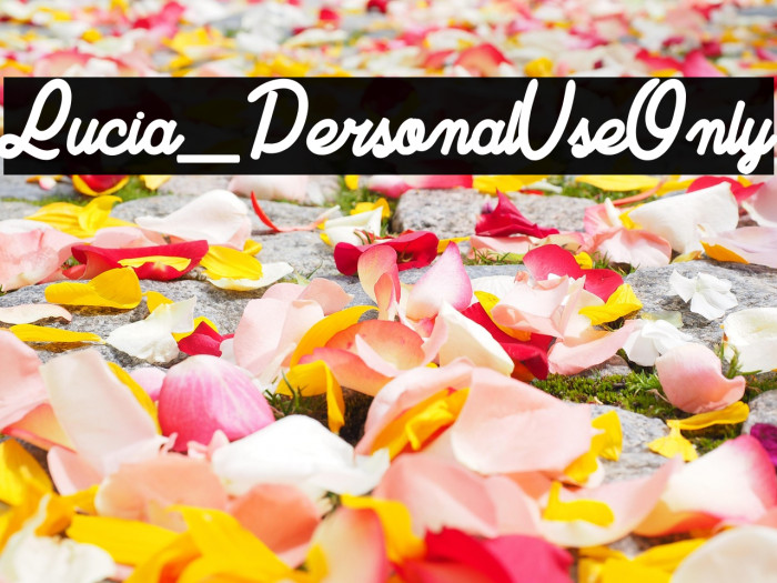 Lucia_PersonalUseOnly Example 3