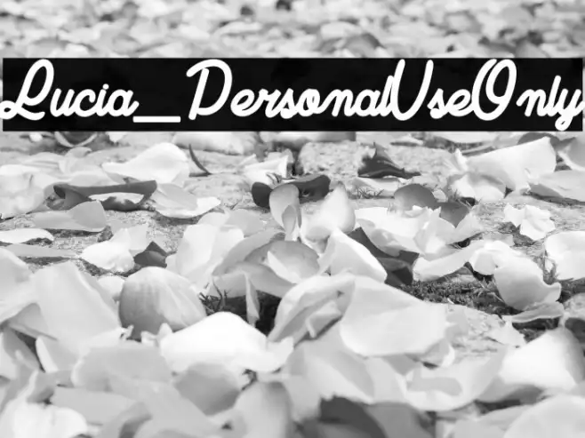 Lucia_PersonalUseOnly Example 3