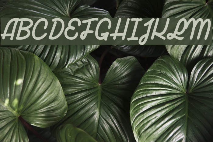 Lucia_Personal_Use_Only Font examples