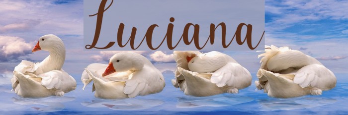 Luciana Font examples