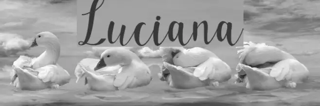 Luciana Example 3