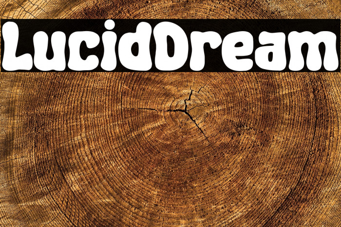 Lucid-Dream Example 1