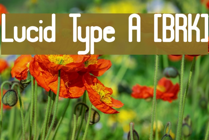 Lucid Type A [BRK] Example 1