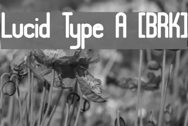 Lucid Type A [BRK] Font examples