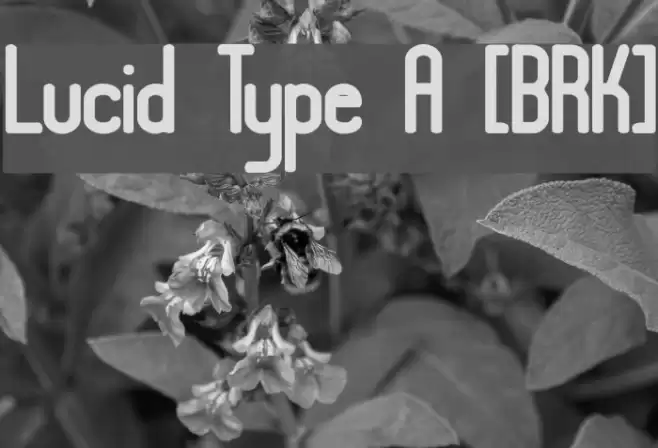 Lucid Type A [BRK] Font examples