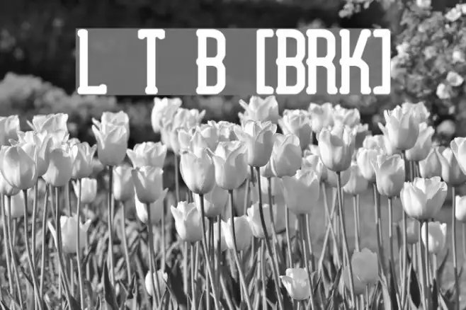 Lucid Type B [BRK] Example 1