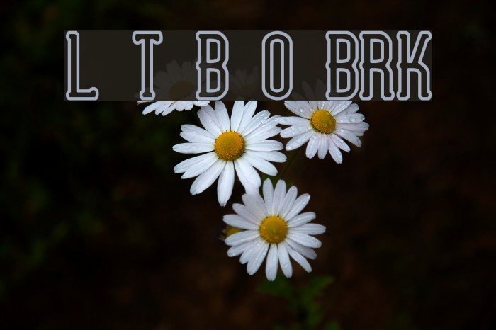 Lucid Type B Outline BRK Font examples