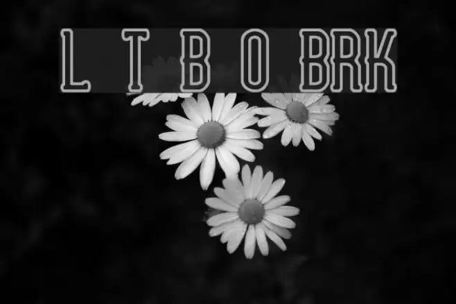 Lucid Type B Outline BRK Font examples
