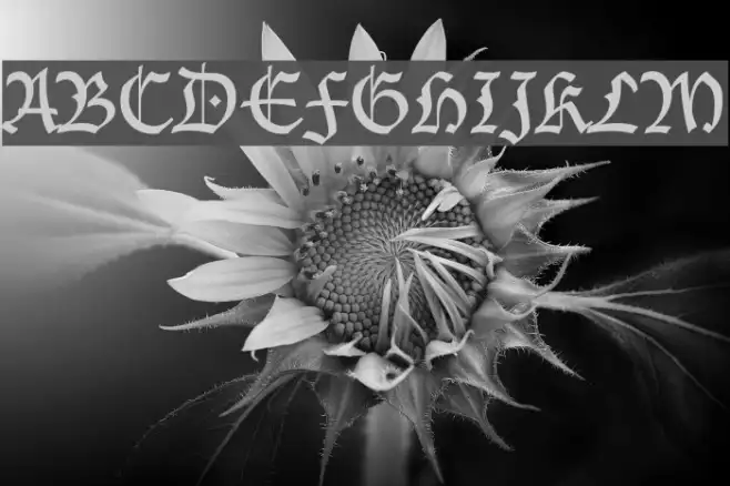 Lucida Blackletter Example 2