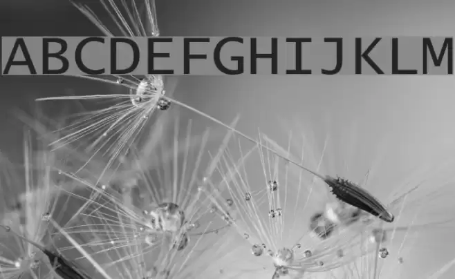 Lucida Console Font examples