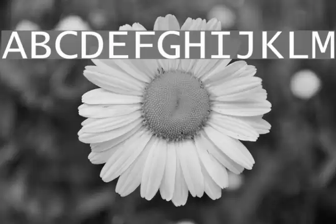 Lucida Console Font examples